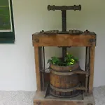 Bio-bergbauernhof Moeslhof アイゲン・イム・エンスタール