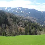 Bio-bergbauernhof Moeslhof アイゲン・イム・エンスタール