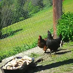 Bio-bergbauernhof Moeslhof アパート *