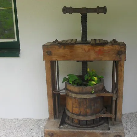 Bio-bergbauernhof Moslhof Айген (Энсталь)