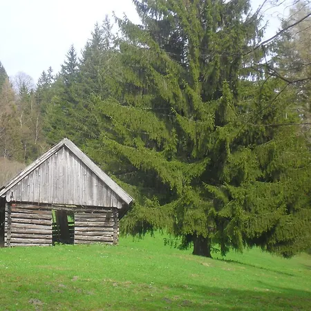 Bio-bergbauernhof Moslhof * Aigen im Ennstal