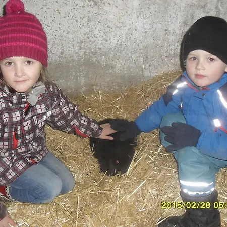 Bio-bergbauernhof Moslhof * Айген (Энсталь)