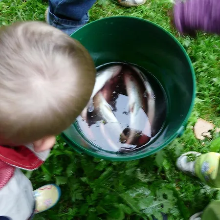 Апартаменты Bio-bergbauernhof Moslhof *