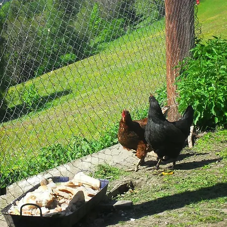 Bio-bergbauernhof Moeslhof アパート *