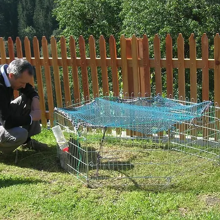 Bio-bergbauernhof Moeslhof アイゲン・イム・エンスタール