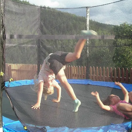 Апартаменты Bio-bergbauernhof Moslhof Айген (Энсталь)