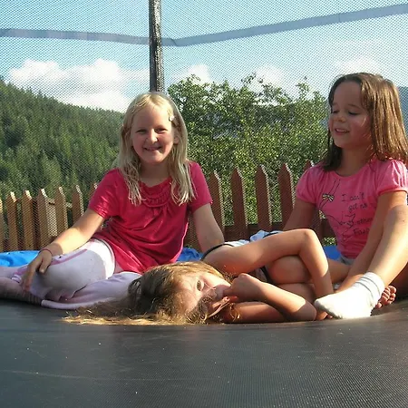 Bio-bergbauernhof Moeslhof アイゲン・イム・エンスタール