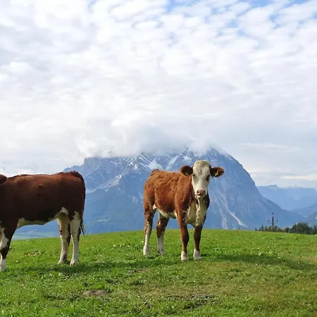 Bio-bergbauernhof Moslhof