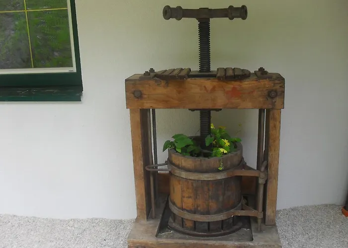 Bio-bergbauernhof Möslhof Aigen im Ennstal