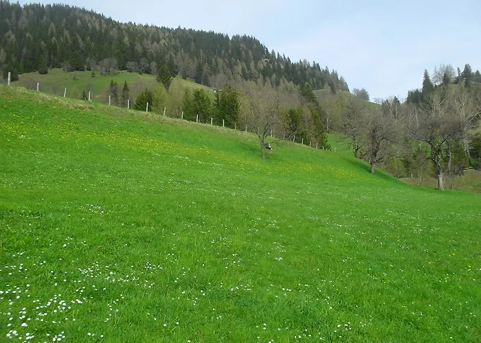 Apartment Bio-bergbauernhof Möslhof Aigen im Ennstal