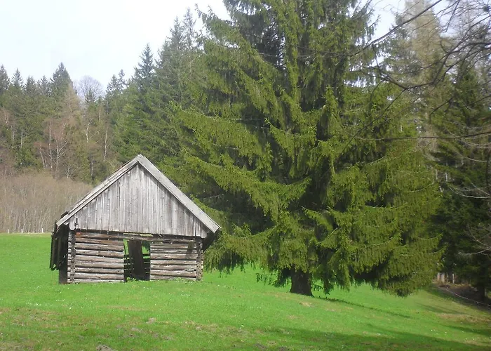 Bio-bergbauernhof Möslhof * Aigen im Ennstal