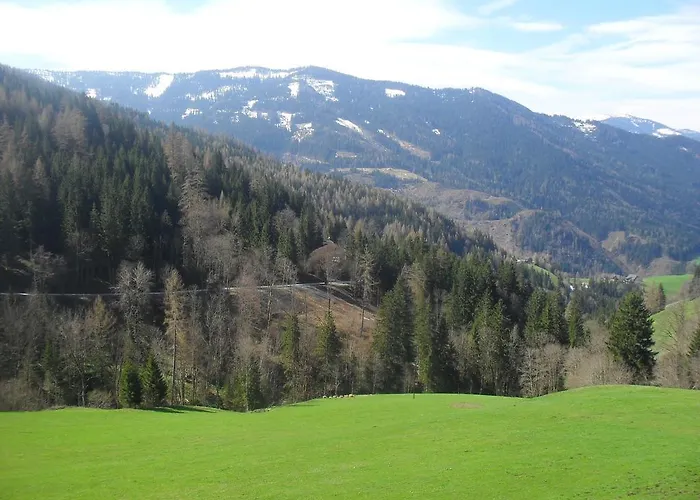 Bio-bergbauernhof Möslhof Aigen im Ennstal