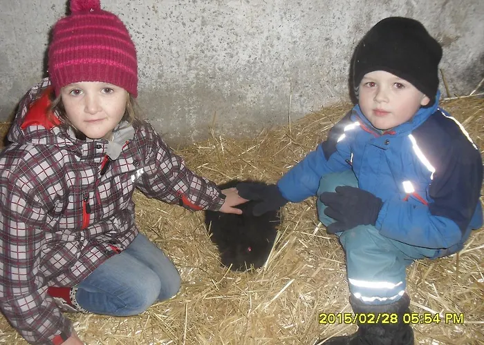 Bio-bergbauernhof Moeslhof * آيغن إم إنشتال