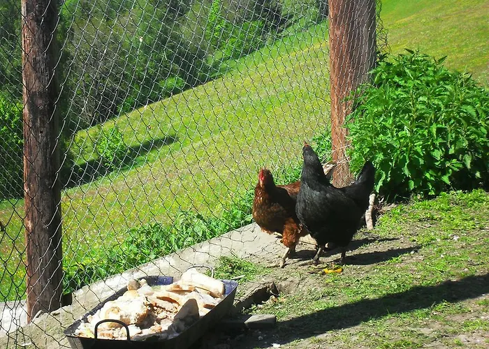 Bio-bergbauernhof Möslhof Apartment *