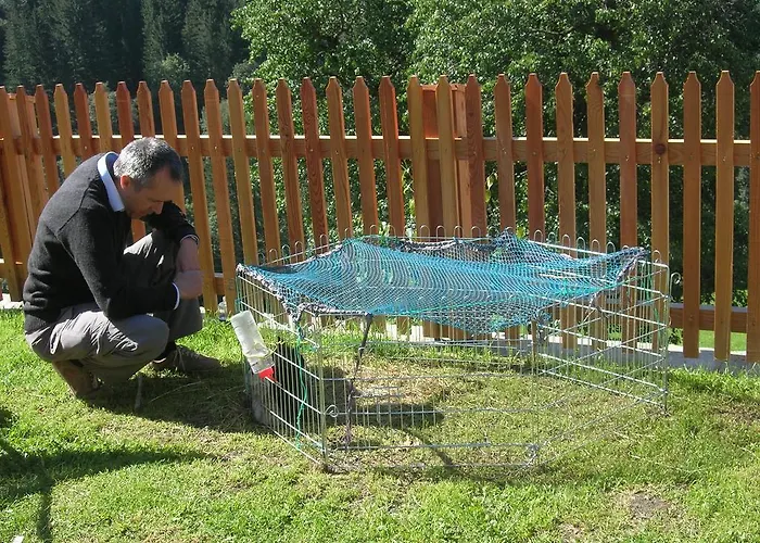 Bio-bergbauernhof Möslhof Aigen im Ennstal
