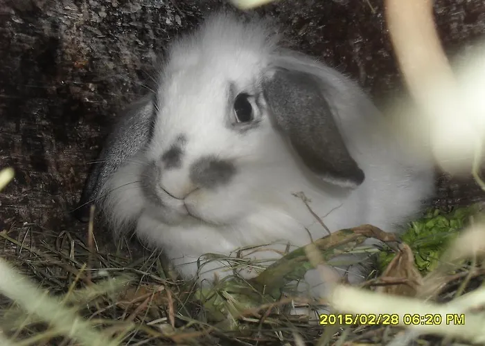 شقة Bio-bergbauernhof Moeslhof آيغن إم إنشتال