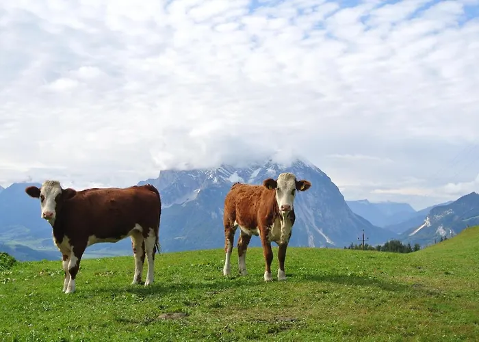 Bio-bergbauernhof Moeslhof